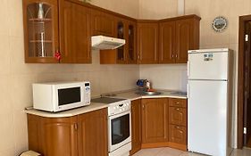 Comfortable Apartment On The Obolon